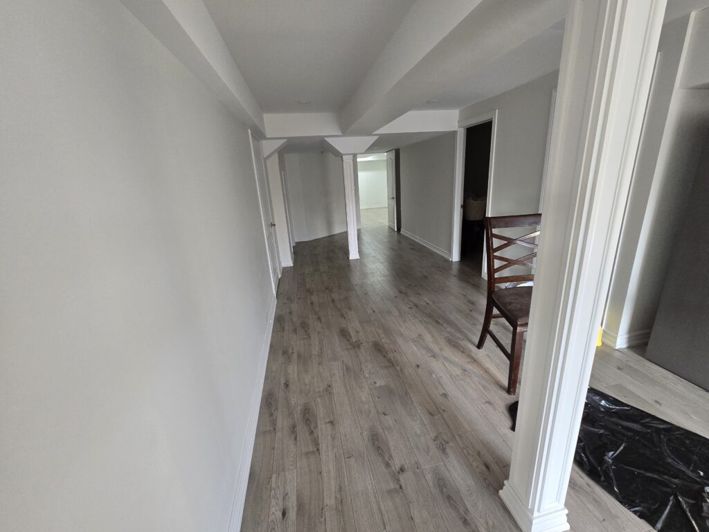 Basement Renovation with modern design